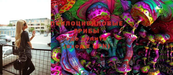 ГАЛЛЮЦИНОГЕННЫЕ ГРИБЫ Белоозёрский