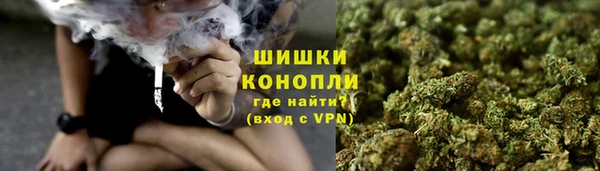 ГАЛЛЮЦИНОГЕННЫЕ ГРИБЫ Белоозёрский