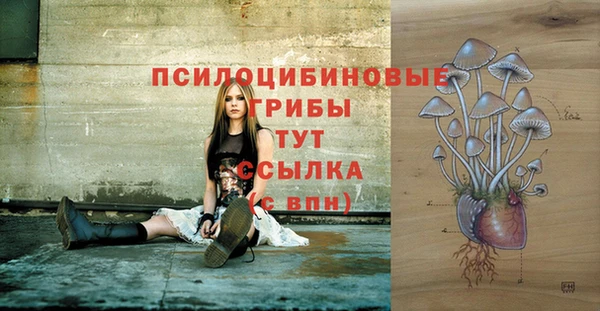 твердый Белокуриха