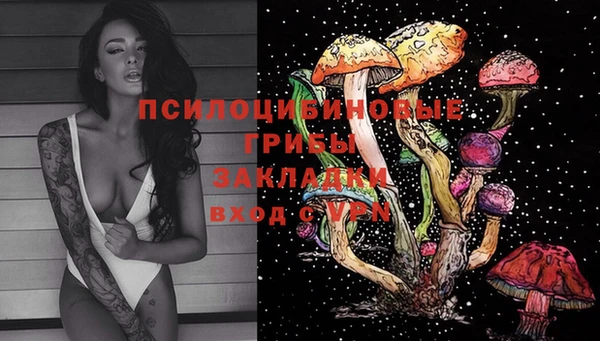 ГАЛЛЮЦИНОГЕННЫЕ ГРИБЫ Белоозёрский