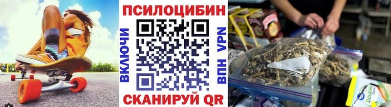 Галлюциногенные грибы Psilocybe  Богданович 